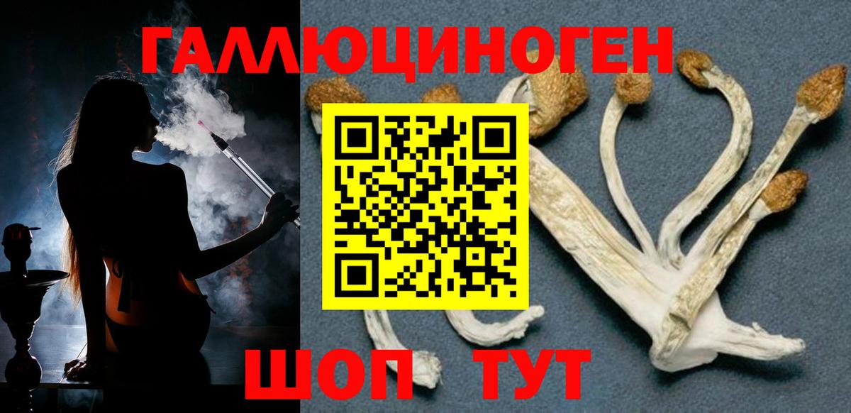 Псилоцибиновые грибы ЛСД  Вход с VPN  Зима 