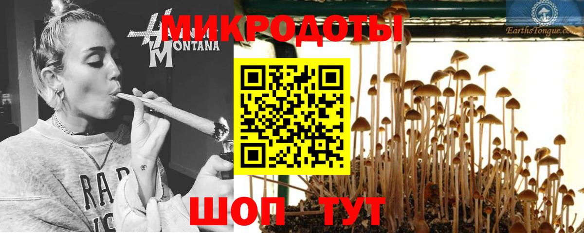 Галлюциногенные грибы мицелий Зима