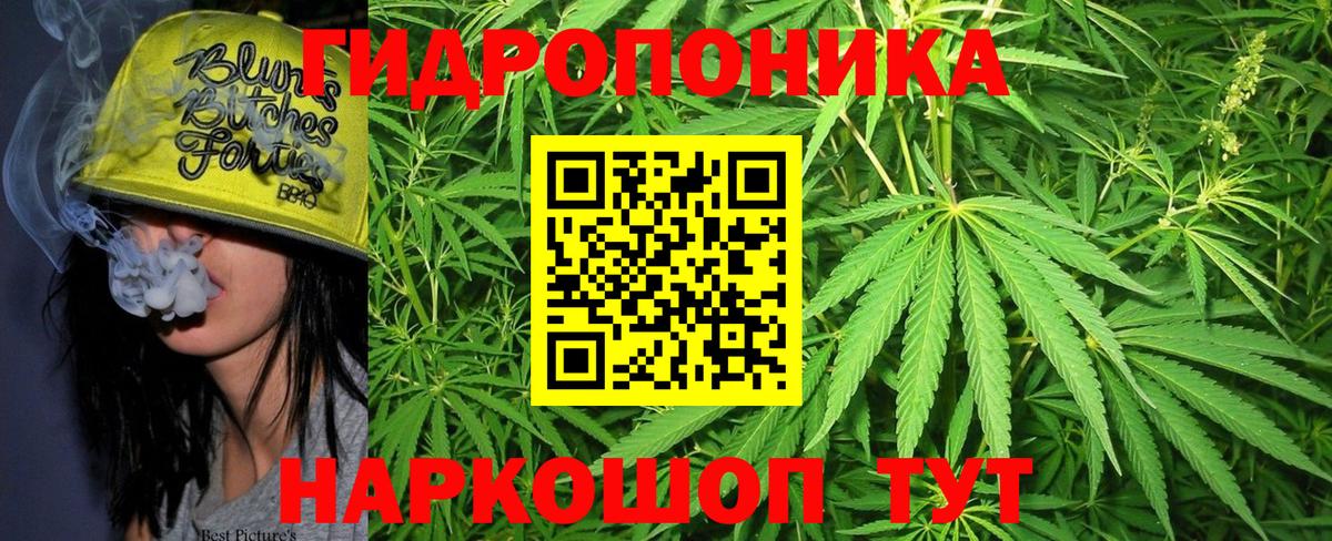 Марихуана марихуана  Конопля тримм  МАРИХУАНА конопля  Канабис Bruce Banner  Вход с VPN  Зима 